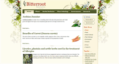 Desktop Screenshot of bitterrootrestoration.com
